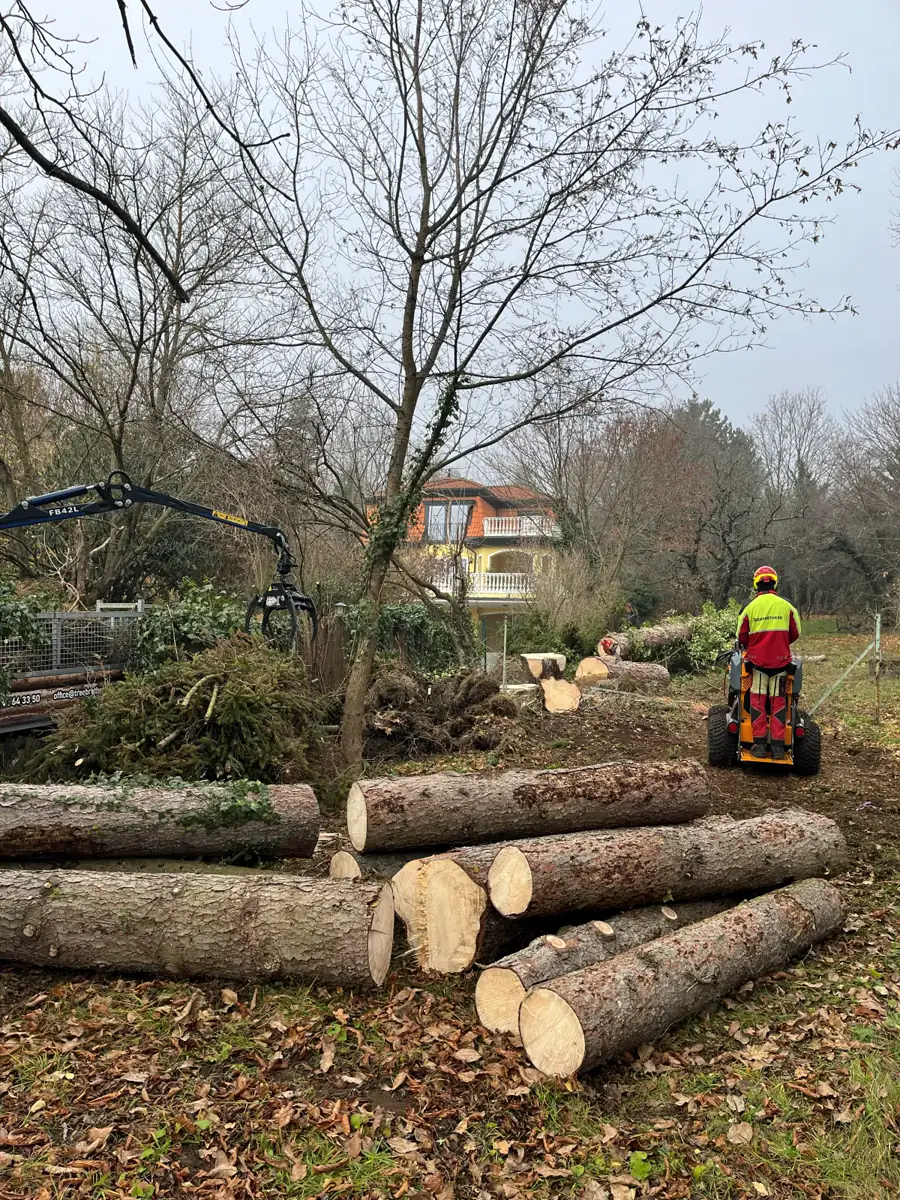 Treebrothers Arbeitsbild 15